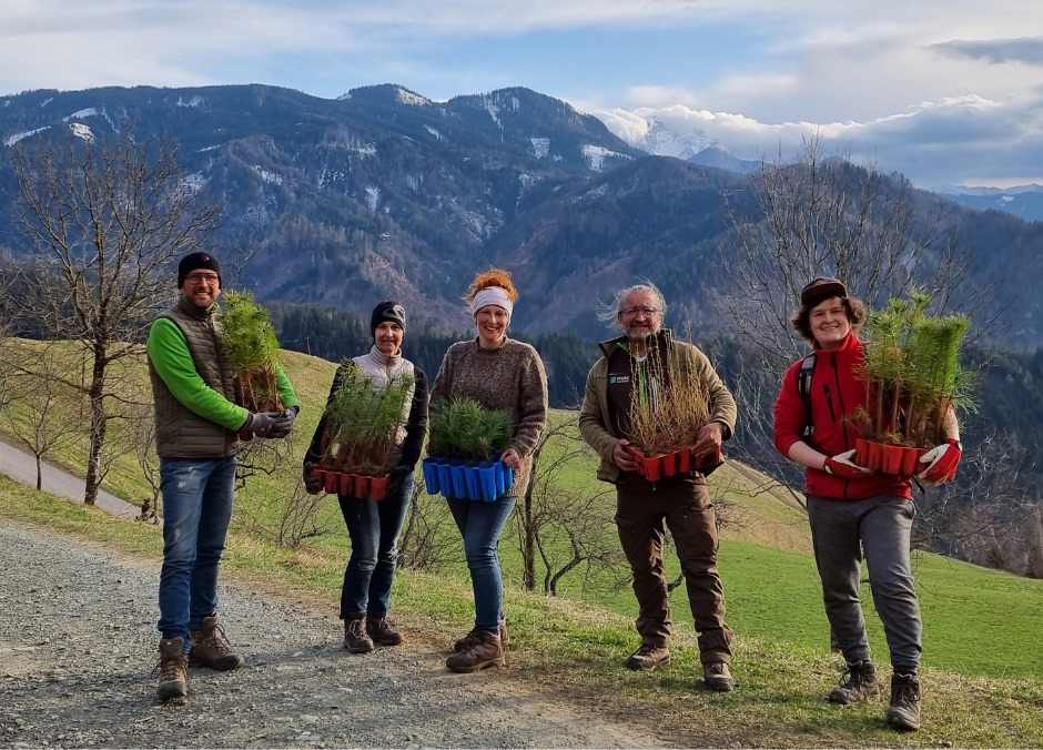 Team von Holc Naturpools beim Wald bepflanzen