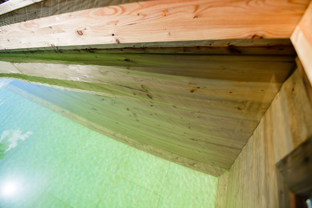 Holc-Naturpools-Wasser Ziegt die besondere Wasserqualität von Holc Naturpools