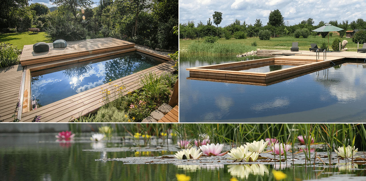 Schwimmteich Naturpool Kombination